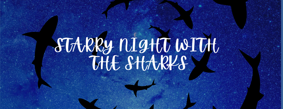 Starry Night with the Sharks
